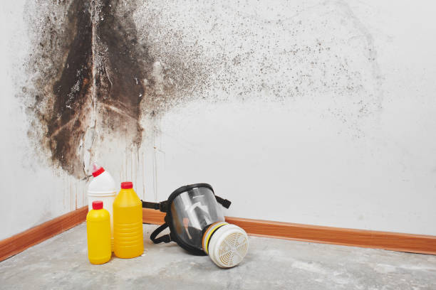 Best Mold Removal and Inspection  in Swede Heaven, WA
