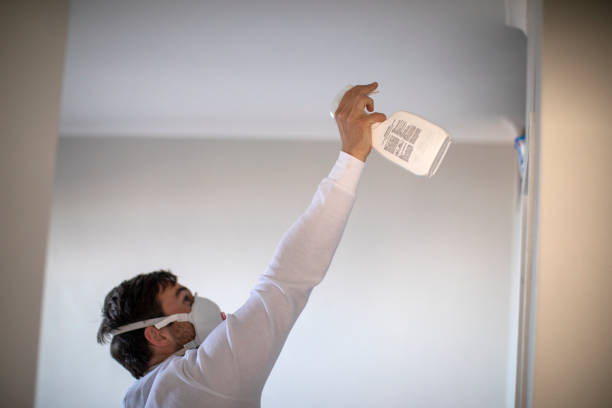 Mold Removal Process in Swede Heaven, WA